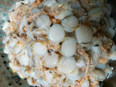 Cồi Sò Điệp